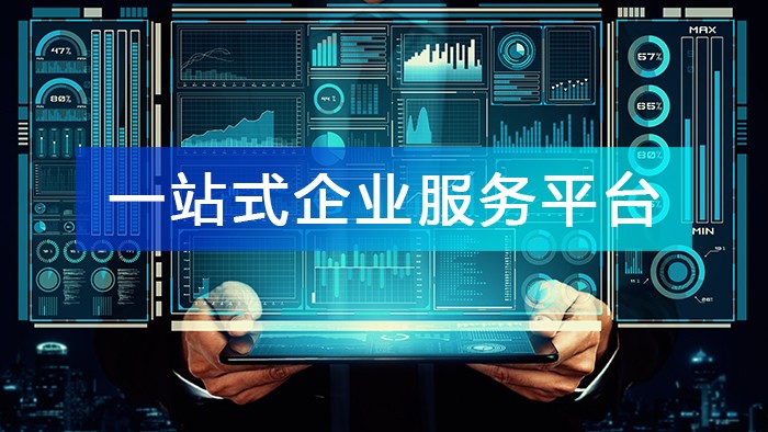 “一站式企業服務平臺” 的數據基礎和應用場景!