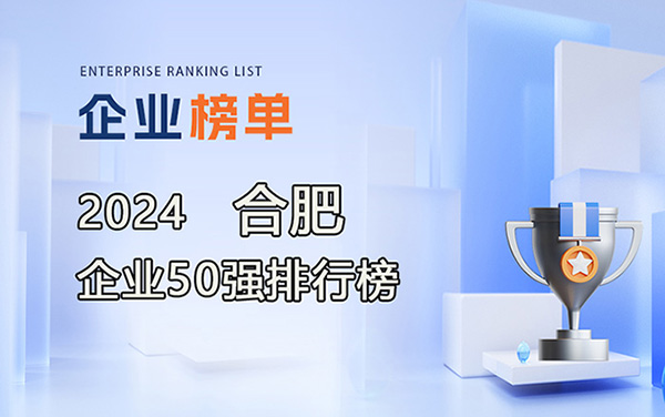 2024合肥企業(yè)50強排行榜